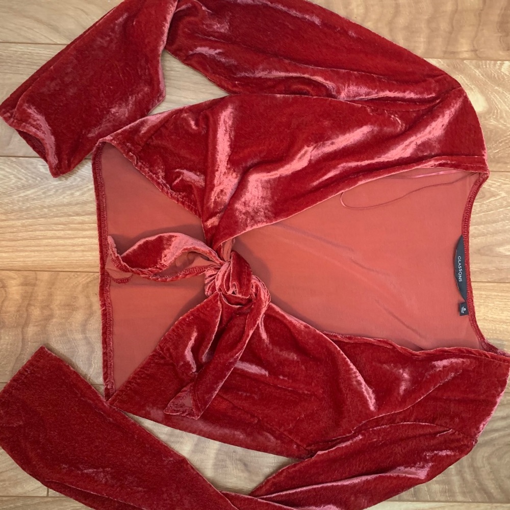 Velvet Glassgons crop top
